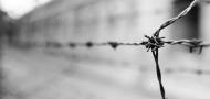 Barbed wire at the Auschwitz concentration camp by Luuk de Kok