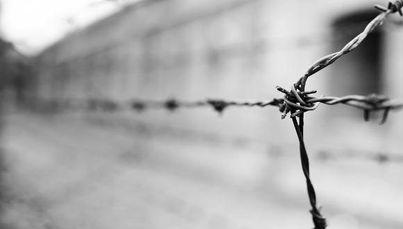 Barbed wire at the Auschwitz concentration camp By Luuk de Kok